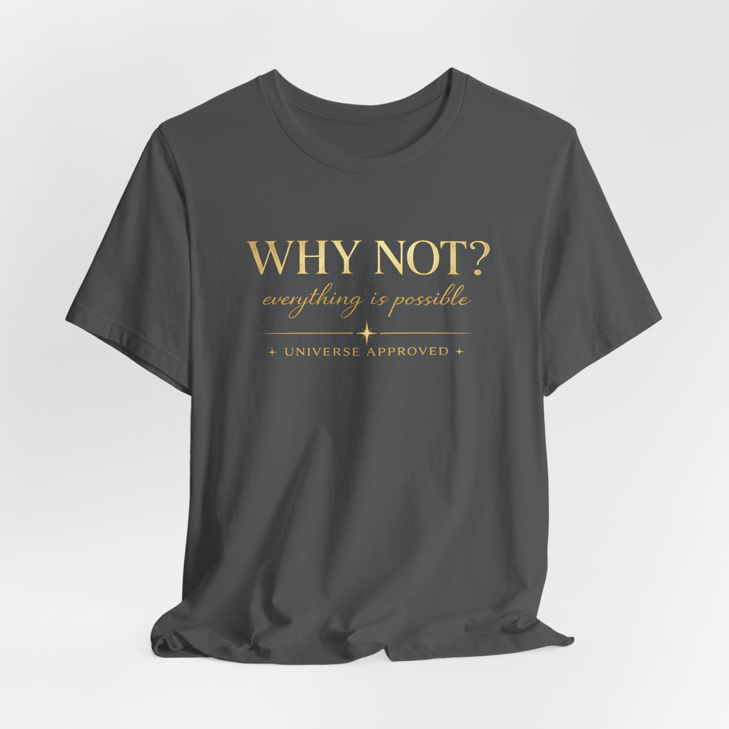 Why Not? Everything is possible | Unisex Tee