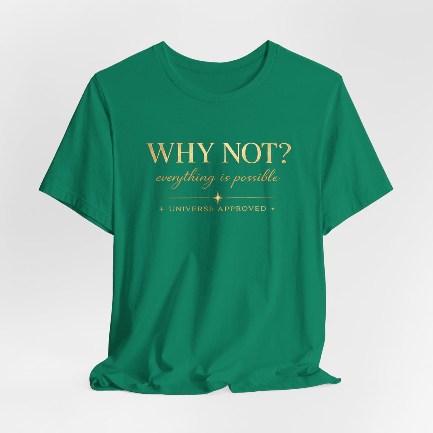Why Not? Everything is possible | Unisex Tee