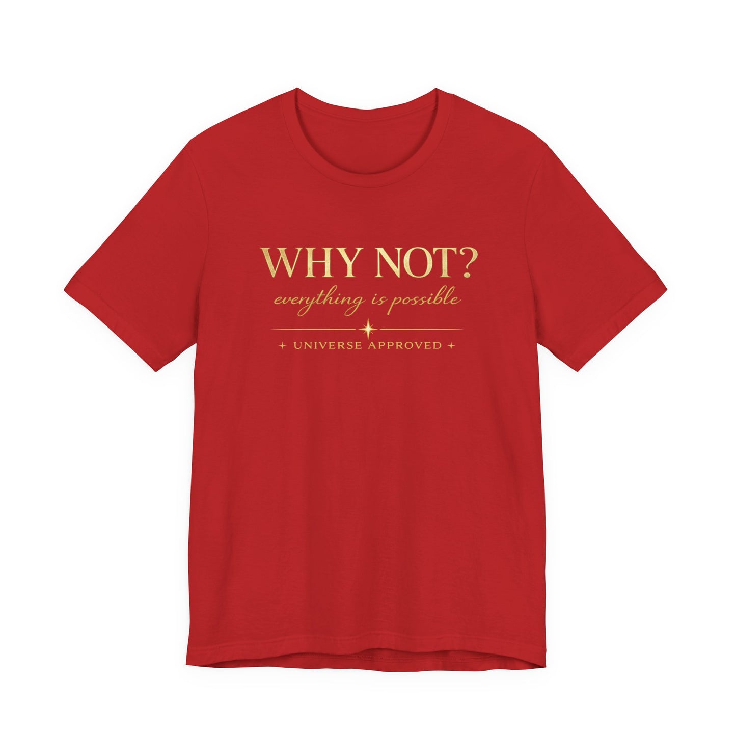 Why Not? Everything is possible | Unisex Tee