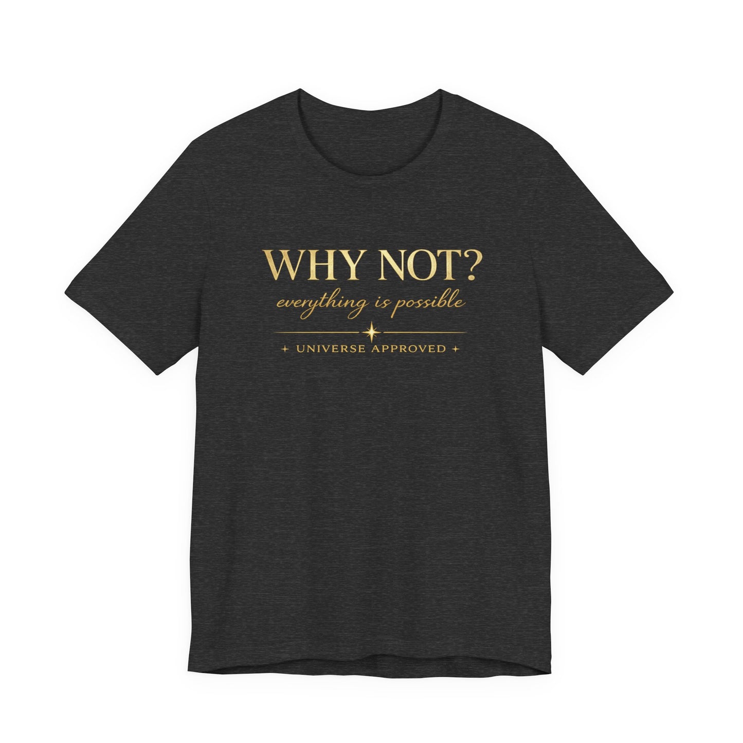 Why Not? Everything is possible | Unisex Tee