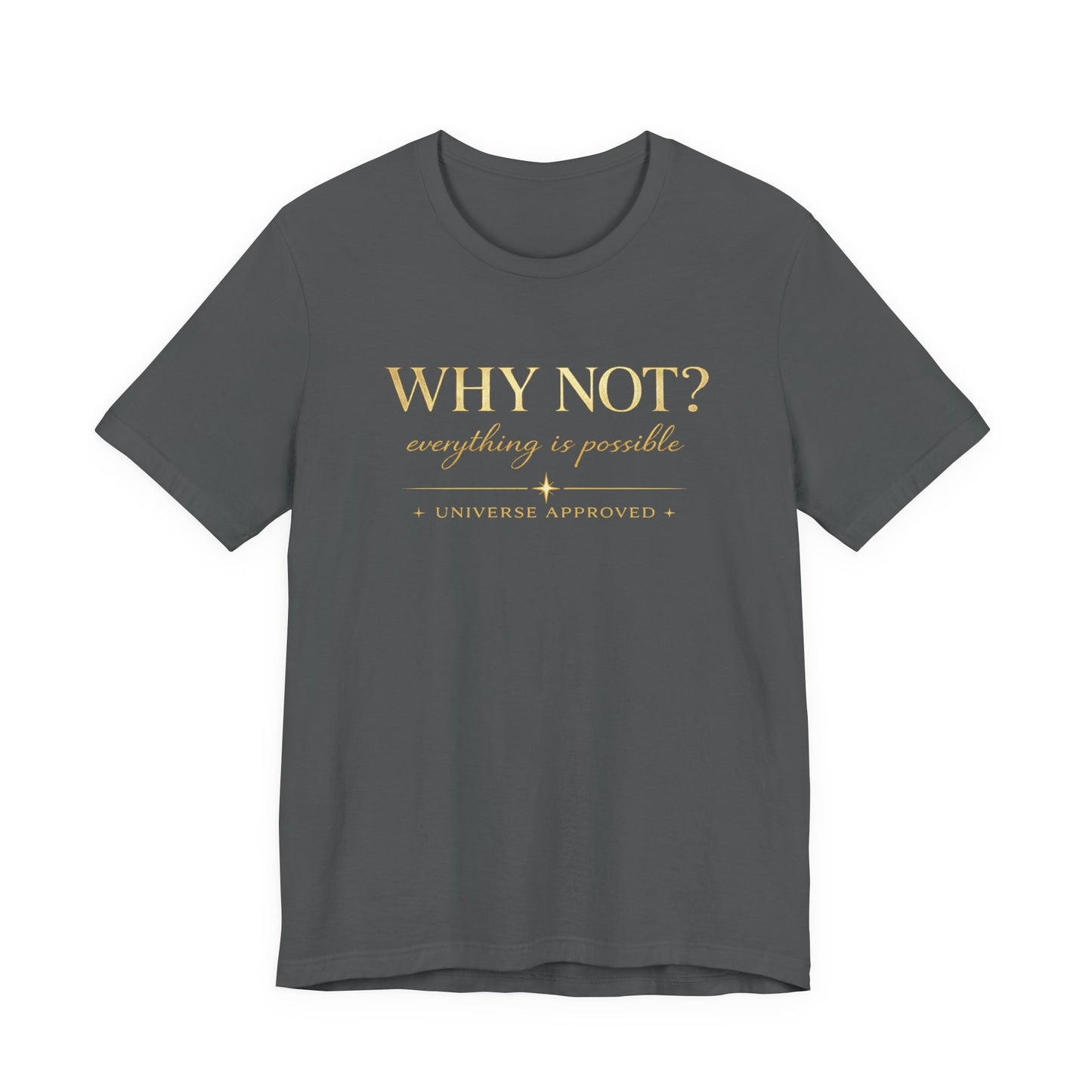 Why Not? Everything is possible | Unisex Tee
