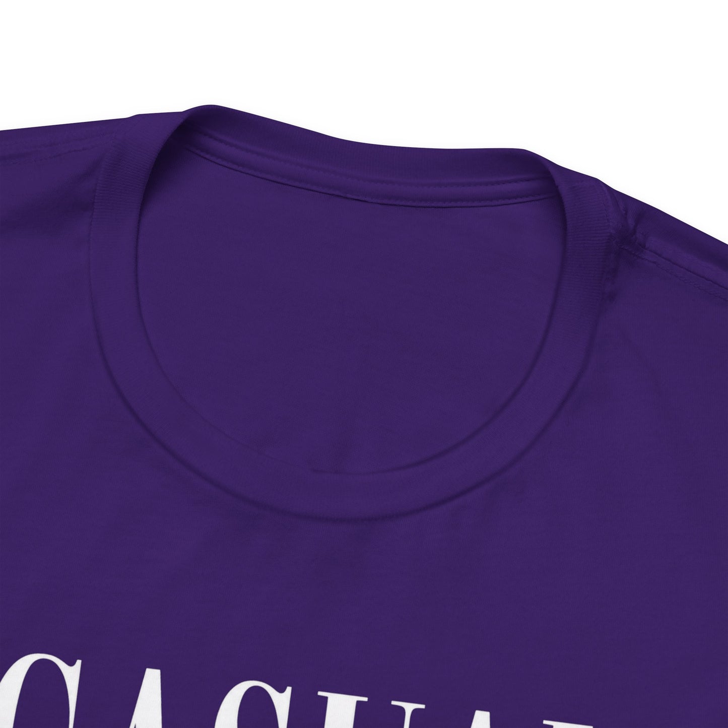 Casual Multimillionaire | Unisex Tee