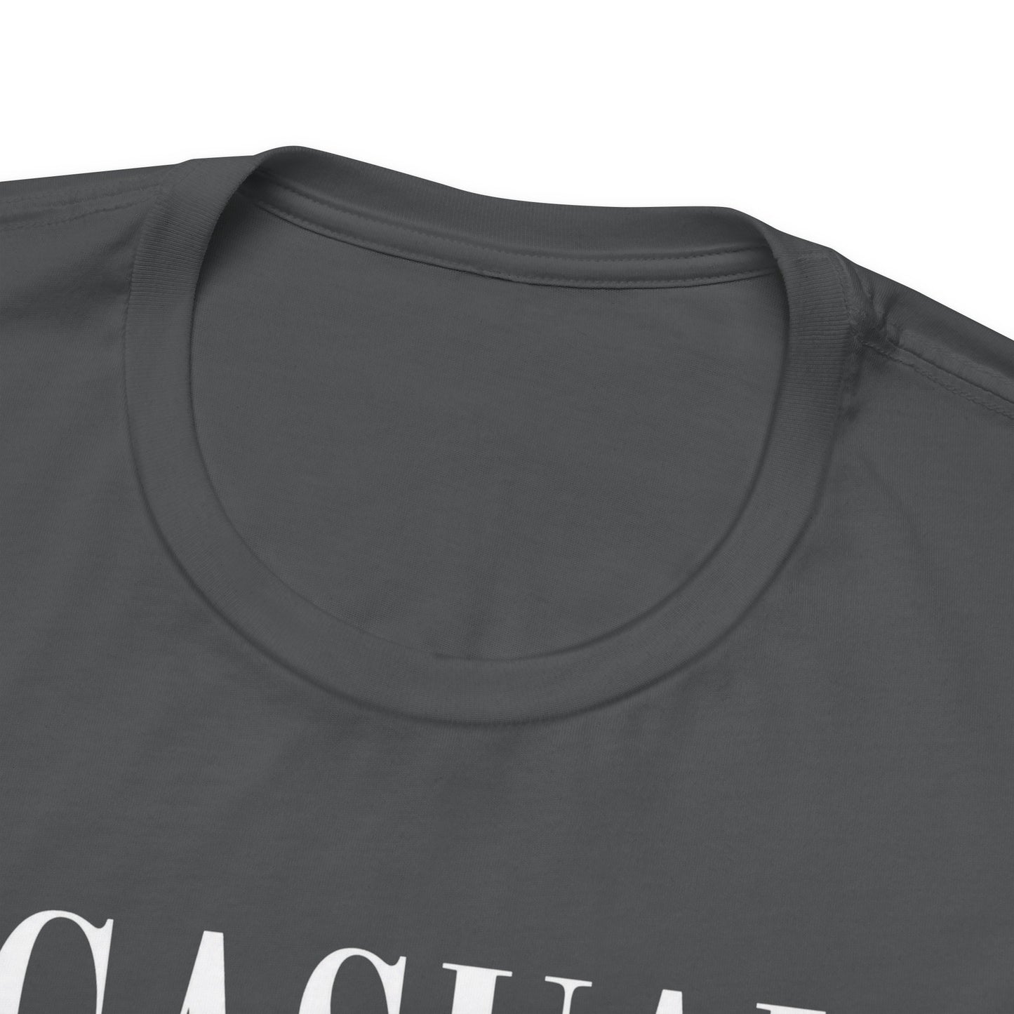 Casual Multimillionaire | Unisex Tee