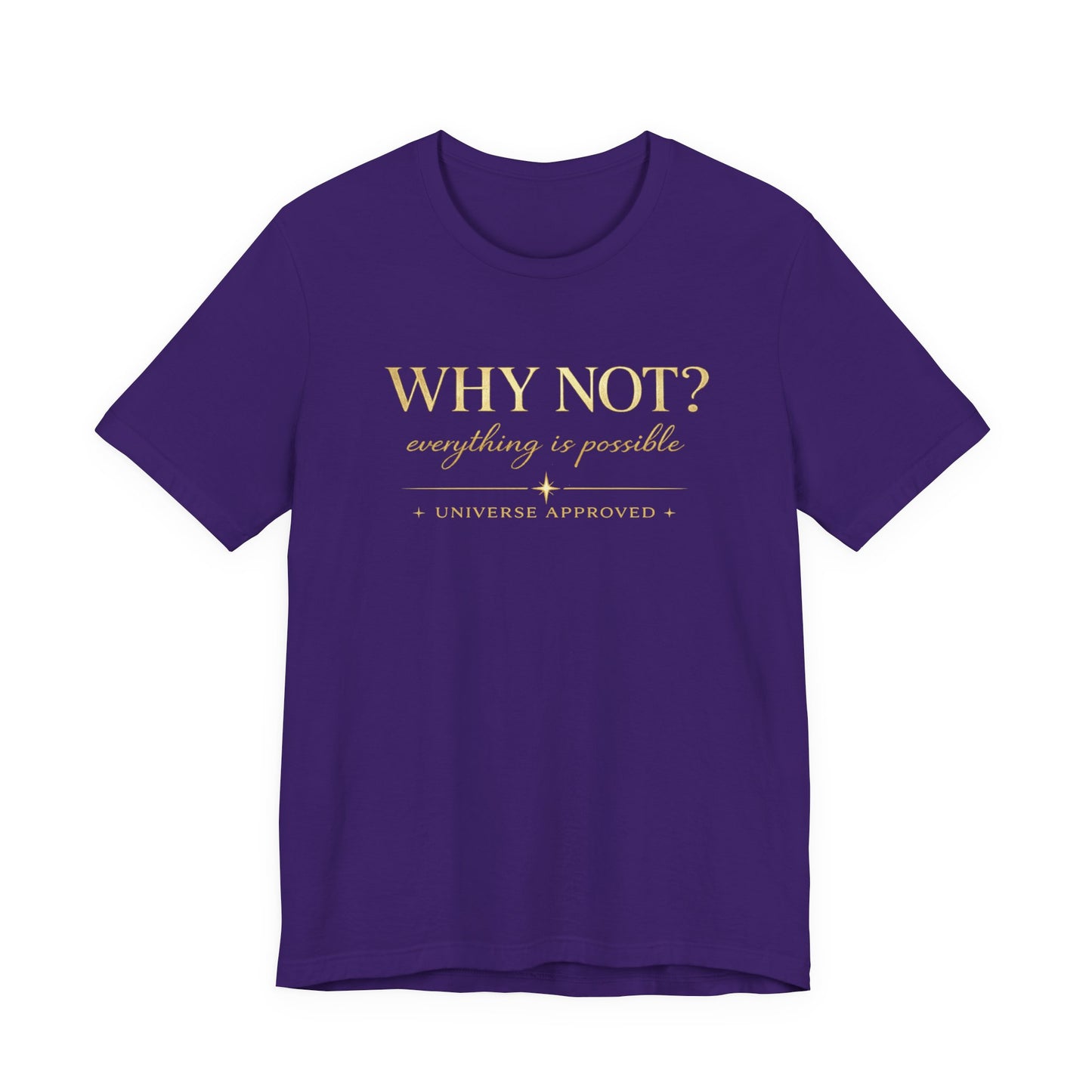 Why Not? Everything is possible | Unisex Tee