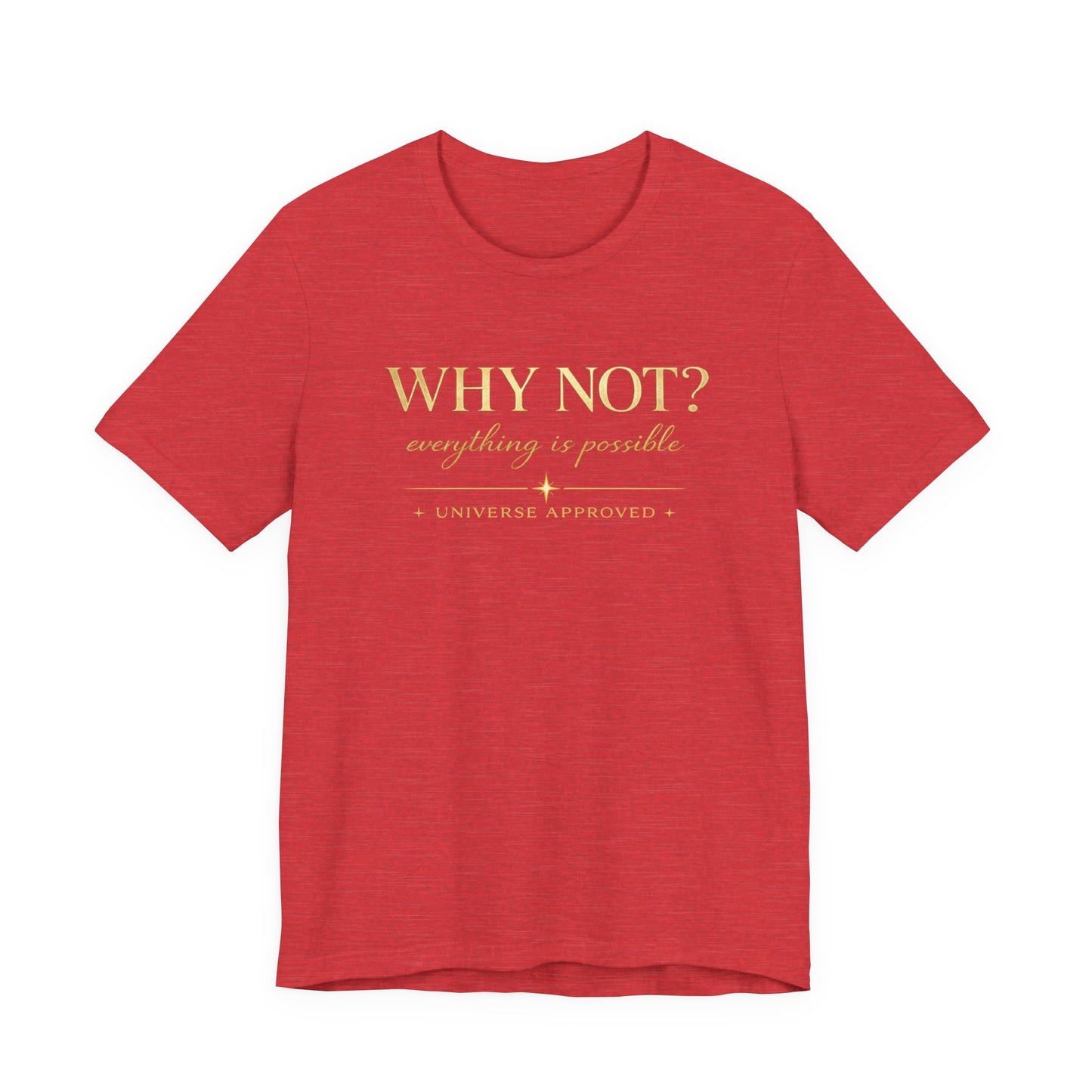 Why Not? Everything is possible | Unisex Tee