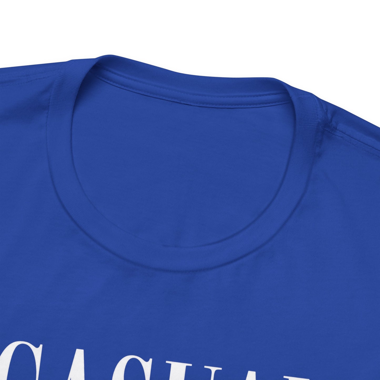 Casual Multimillionaire | Unisex Tee