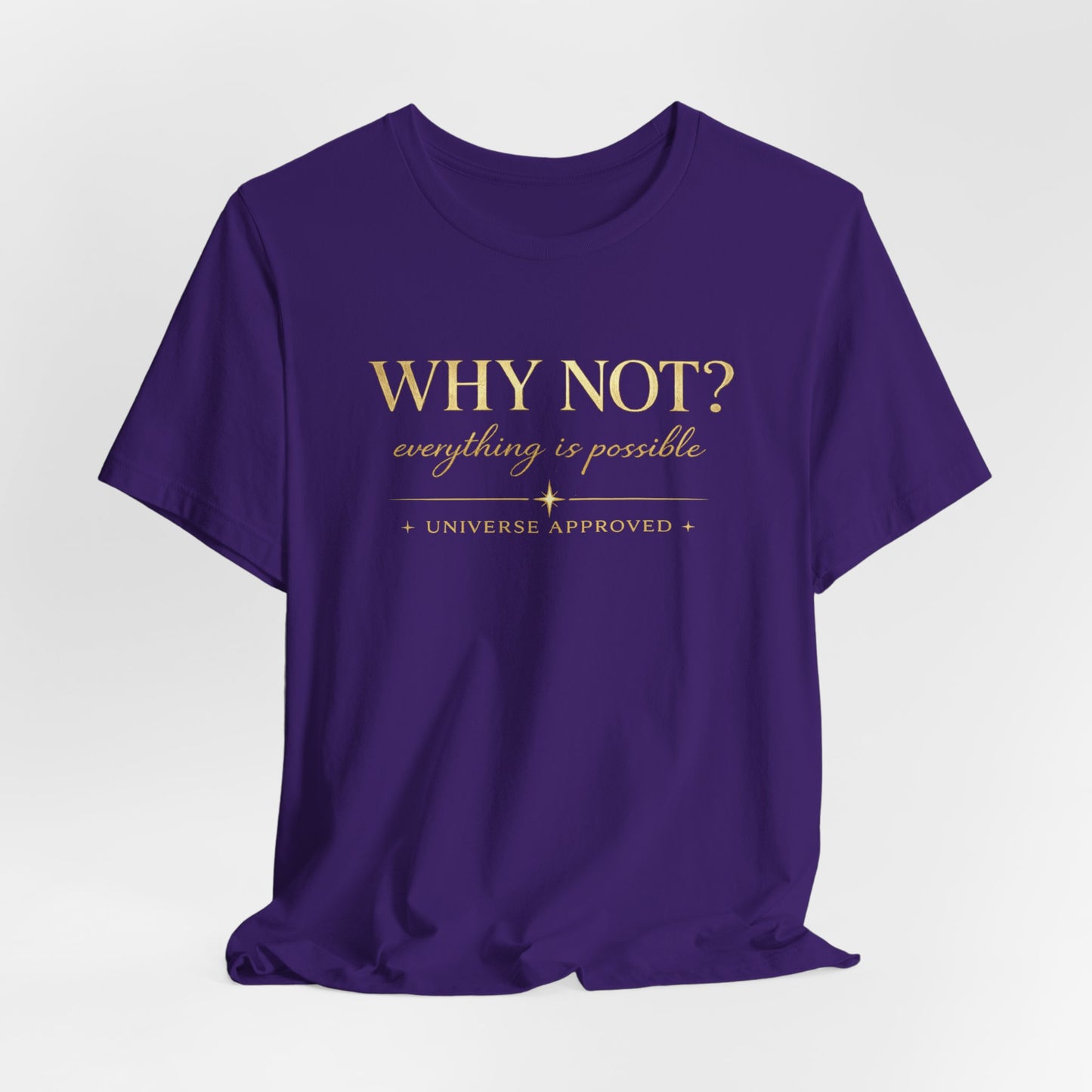 Why Not? Everything is possible | Unisex Tee