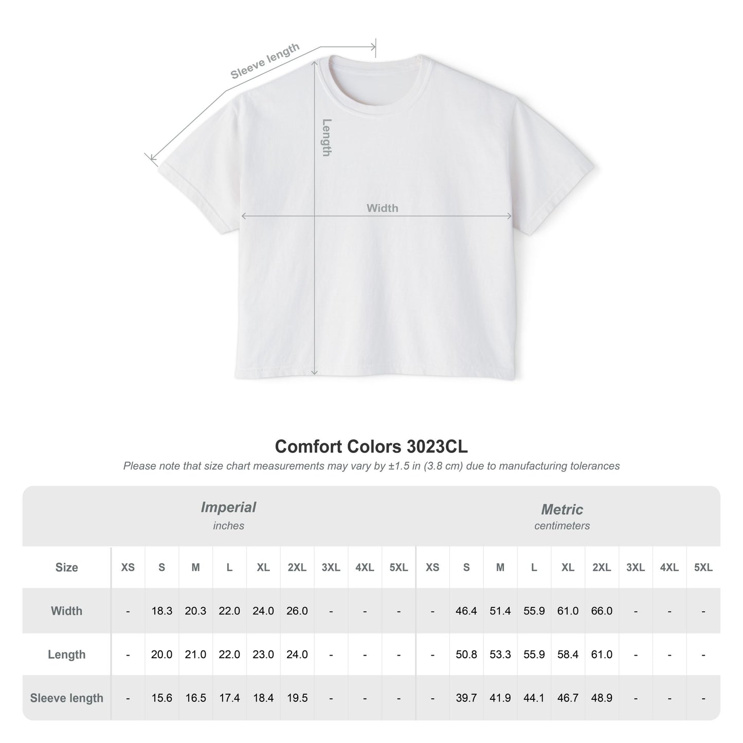 Why Not? Everything is possible | Boxy Tee