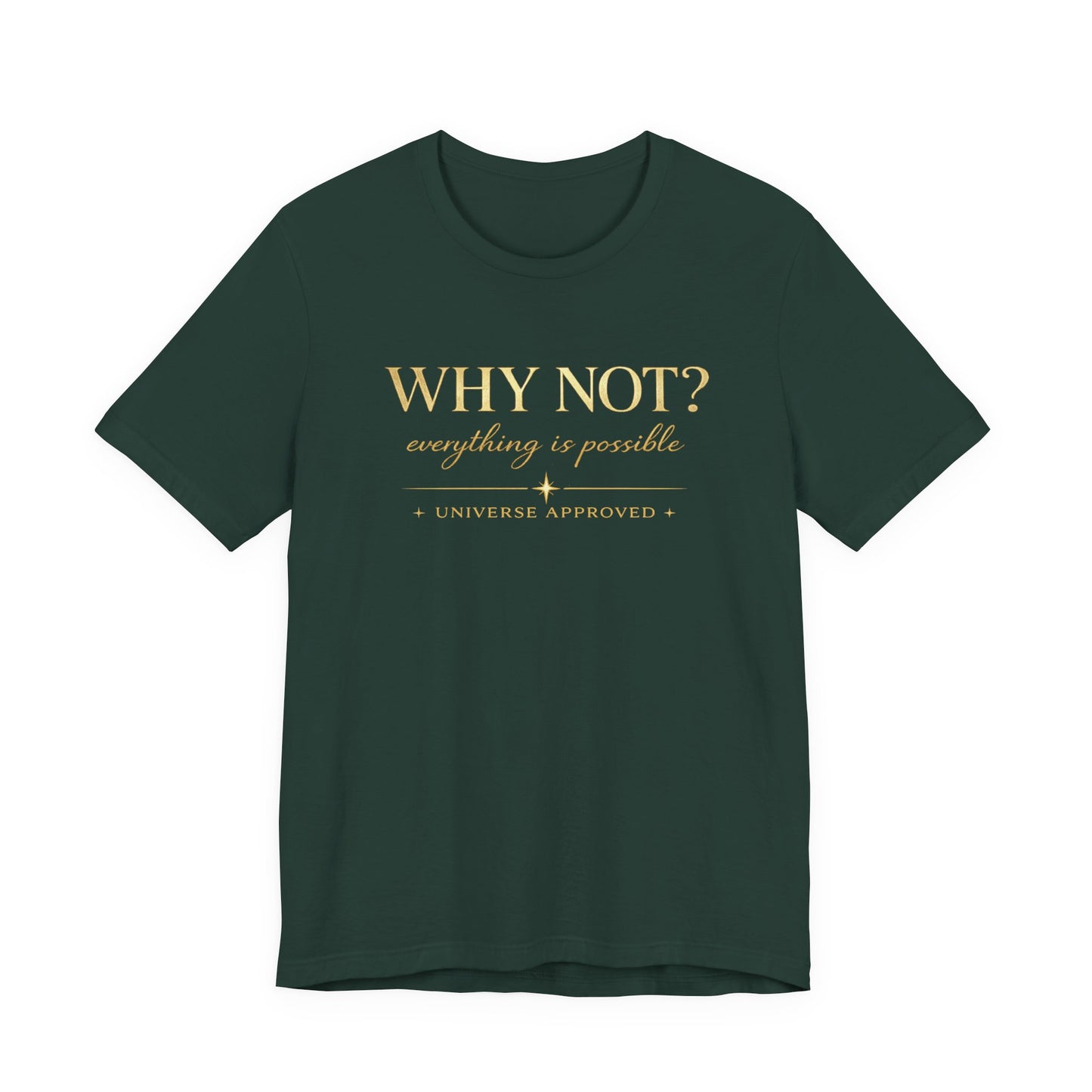 Why Not? Everything is possible | Unisex Tee