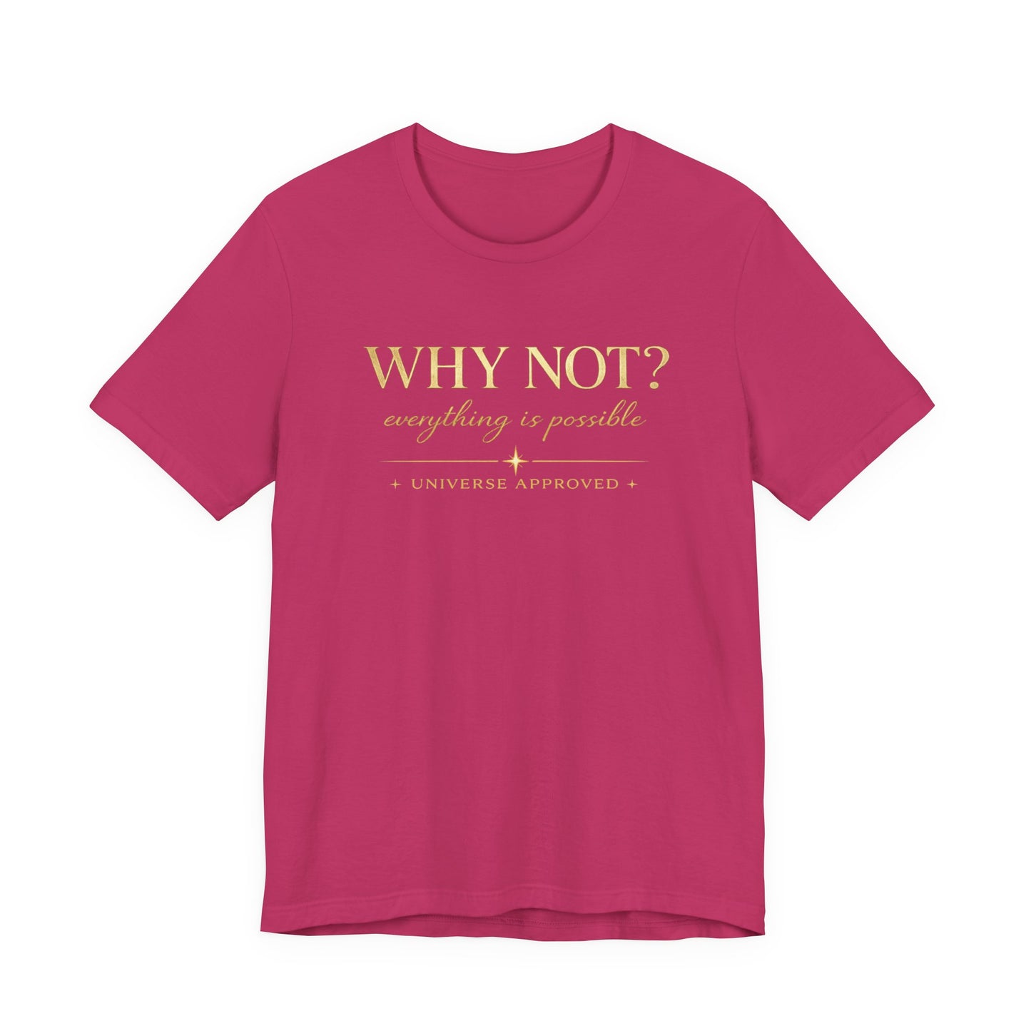 Why Not? Everything is possible | Unisex Tee