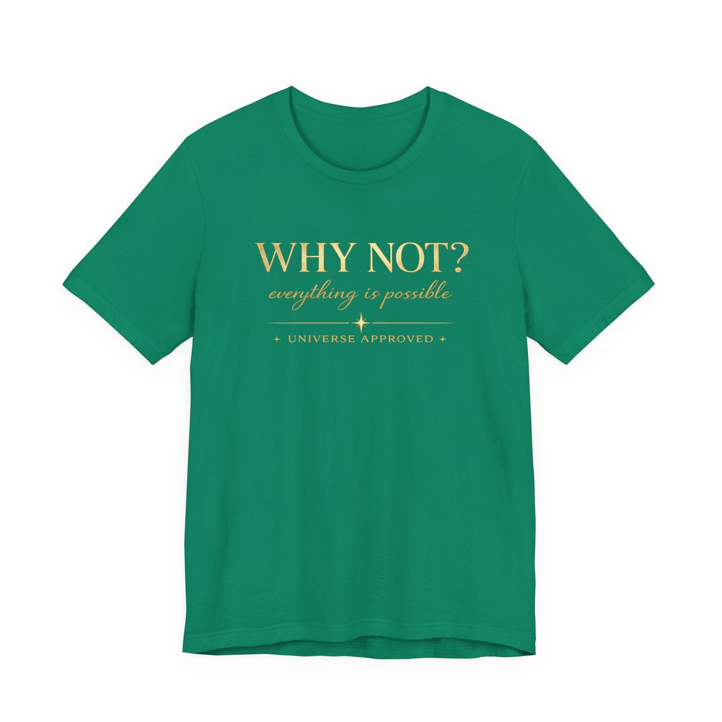Why Not? Everything is possible | Unisex Tee