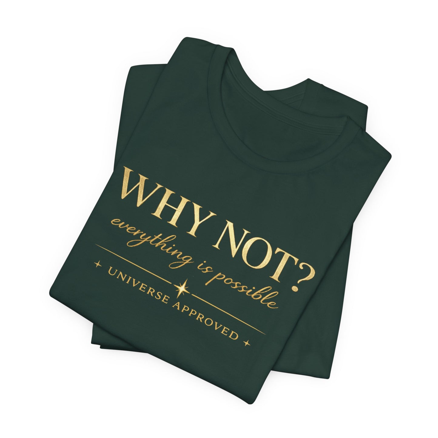 Why Not? Everything is possible | Unisex Tee