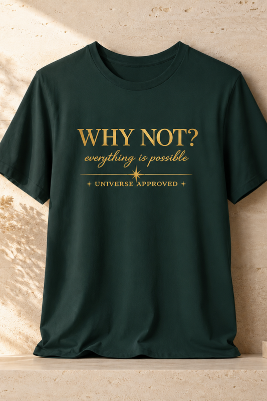 Why Not? Everything is possible | Unisex Tee